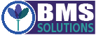 BMS Solutions LLC